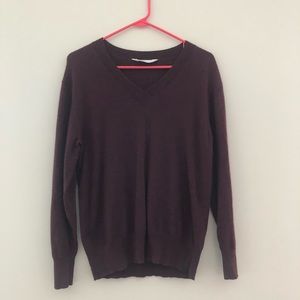 Everlane V Neck Sweater